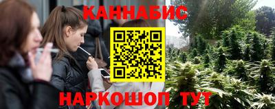 сатива Нарткала