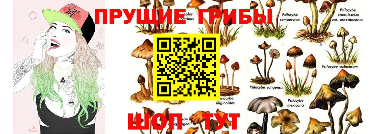 Галлюциногенные грибы MAGIC MUSHROOMS Бугуруслан