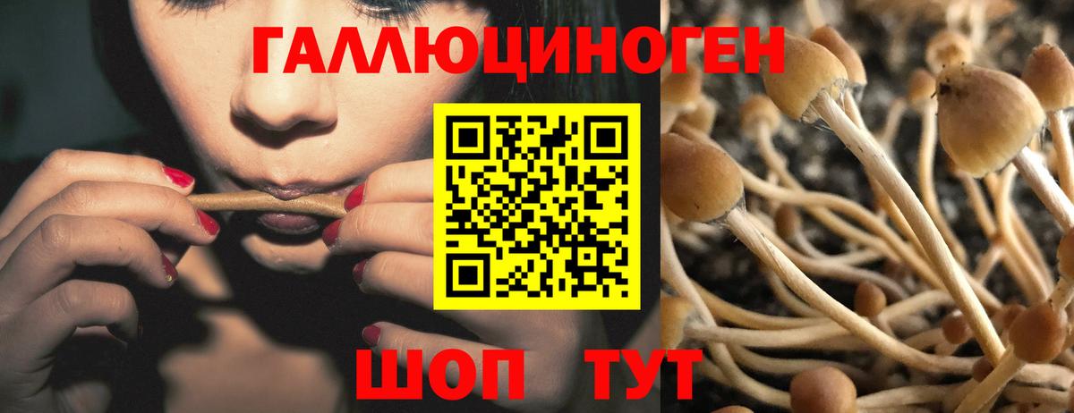 Галлюциногенные грибы мицелий  Вход с VPN  Бугуруслан  Галлюциногенные грибы Magic Shrooms 