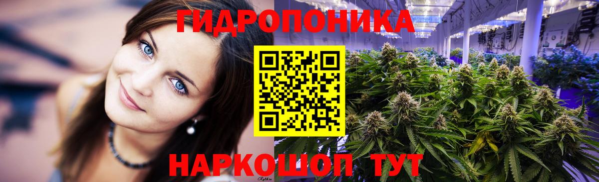 Бугуруслан  МАРИХУАНА Bruce Banner  Марихуана сатива  Бошки марихуана план  Вход с VPN 